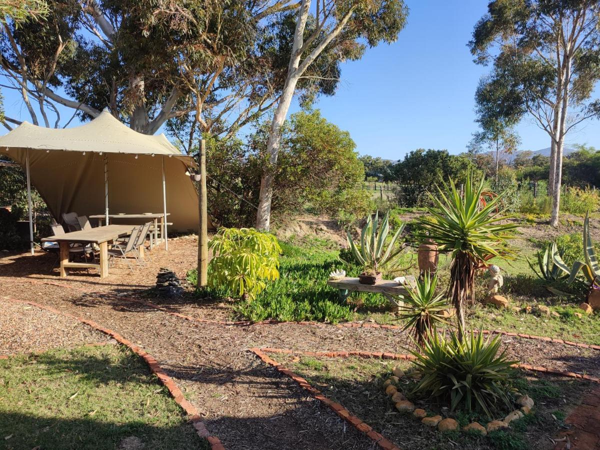 The Riverstone - Romantic Hideaway By The River - Loadshedding Free! Napier Exteriör bild