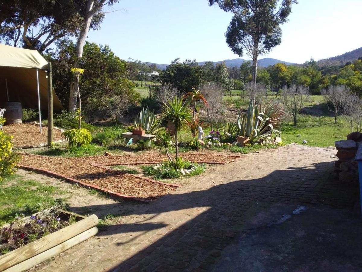 The Riverstone - Romantic Hideaway By The River - Loadshedding Free! Napier Exteriör bild