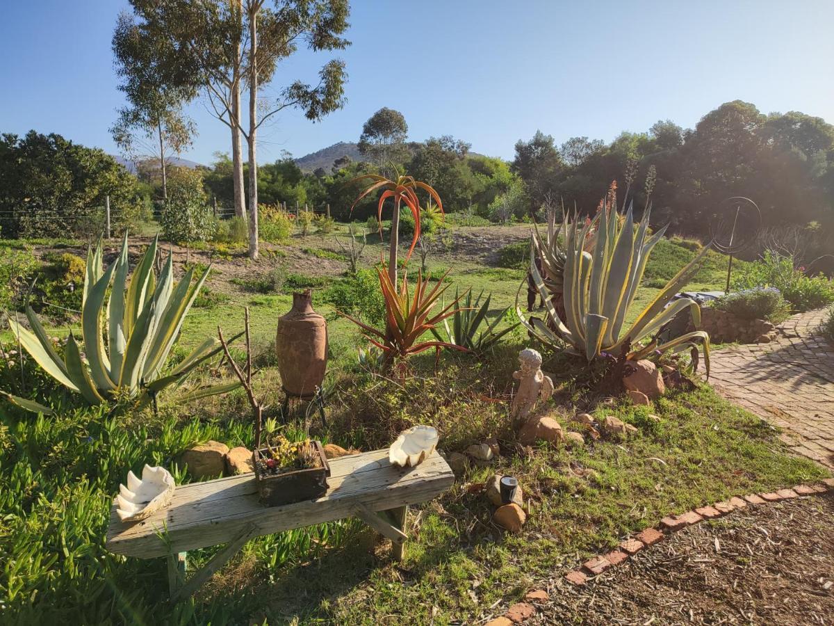 The Riverstone - Romantic Hideaway By The River - Loadshedding Free! Napier Exteriör bild